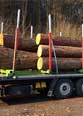 Schwarzmüller Rungensattel für Rundholztransport 13,6m